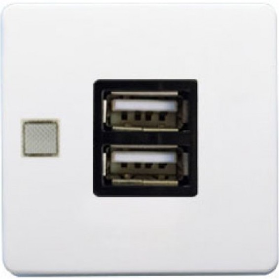 Розетка USB FEDE коллекции FEDE, скрытый монтаж, белый, FD-212USB